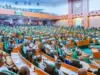 Reps to grill Accountant-General over fake agency scandal