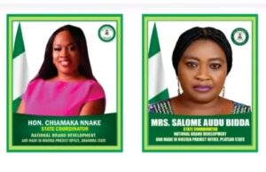 PHOTOS: Meet new ‘fake’ agency’s national coordinator, state reps, US, China officials
