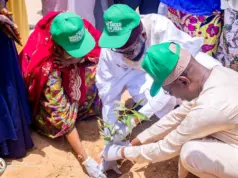 Kano college launches 800-tree drive to tackle climate challenges