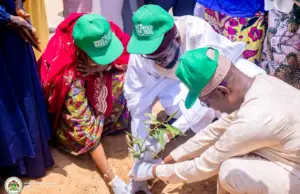 Kano college launches 800-tree drive to tackle climate challenges
