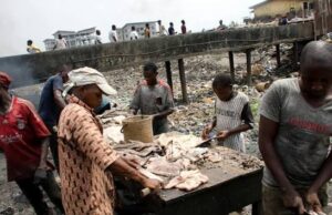 Lagos plans biogas, fertiliser production from abattoir waste
