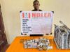 NDLEA nabs drug dealer, bandits’ supplier in Rivers, Zamfara NDLEA