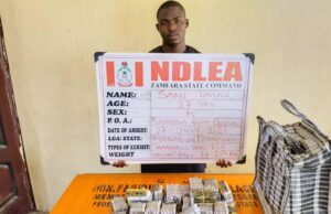 NDLEA nabs drug dealer, bandits’ supplier in Rivers, Zamfara NDLEA