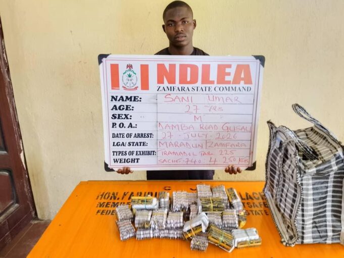 Arrested suspect in Zamfara NDLEA
