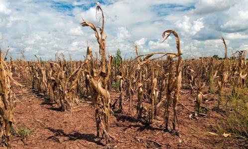 Drought