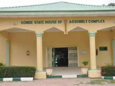 Gombe Assembly promotes 28 staff, retires six
