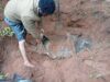 Troops uncover shallow grave, exhume remains of slain Imo community leader Troops