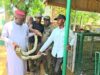 Kano zoo receives python rescued from residential building