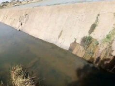 Kaduna govt debunks Kangimi Dam collapse, assures residents of safety Dam
