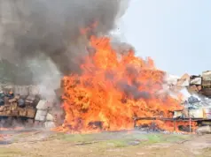 NDLEA destroys N301bn illicit drugs in Lagos