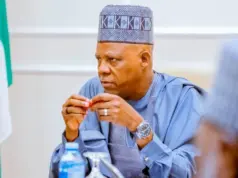 Nigeria won’t tolerate mistreatment of citizens in S’Africa — Shettima