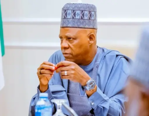 Nigeria won’t tolerate mistreatment of citizens in S’Africa — Shettima
