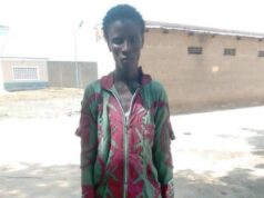 20-year-old JAS fighter surrenders to troops in Borno