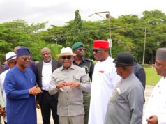 Wike orders upgrade of Life Camp recreation park, mulls New Year fireworks display in Abuja Wike