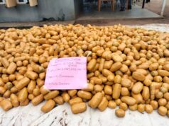 Customs seizes N2bn cannabis in Ogun Cannabis