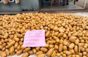 Customs seizes N2bn cannabis in Ogun Cannabis