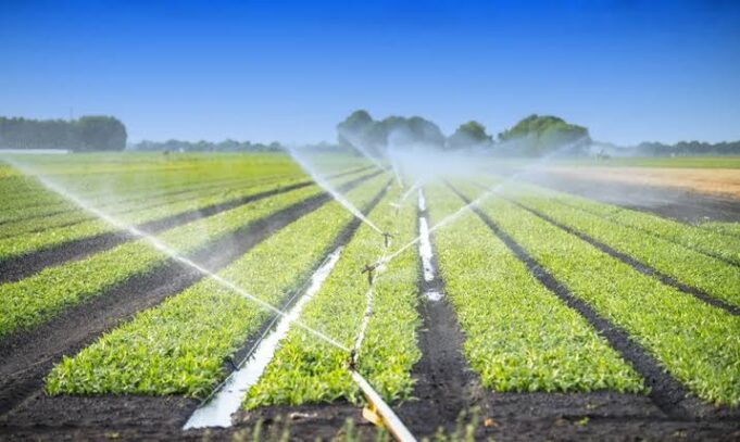 farming