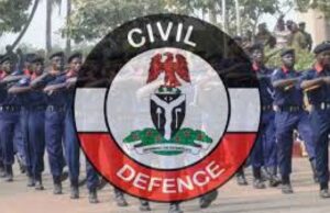 Niger miners’ deaths: Full list of 20 NSCDC officers suspended