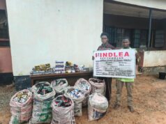 NDLEA seizes over 1.1m Tramadol pills, arrests teenagers with guns in nationwide raids NDLEA