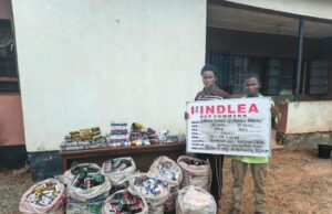 NDLEA seizes over 1.1m Tramadol pills, arrests teenagers with guns in nationwide raids NDLEA