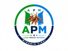 ‘Presidency isn’t won by press statements’ — Alli’s group tackles APM