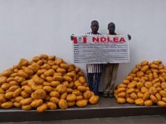 NDLEA intercepts N3bn drugs at Lagos airport, nabs Togolese traffickers in Oyo NDLEA