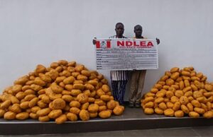 NDLEA intercepts N3bn drugs at Lagos airport, nabs Togolese traffickers in Oyo NDLEA