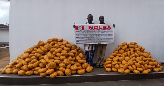 Arrested drug dealers in Oyo NDLEA
