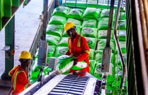 Dangote to list fertiliser company in 2027 Fertiliser