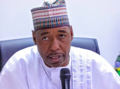 North will reclaim presidency after Tinubu’s second term — Zulum