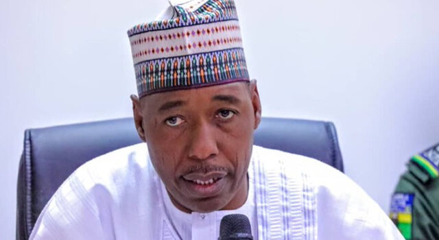 North will reclaim presidency after Tinubu’s second term — Zulum