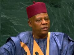 UNGA 81: Nigeria demands permanent African seats on Security Council