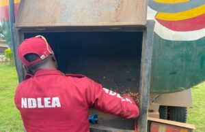NDLEA uncovers 2.1 tonnes of cannabis hidden in fuel tanker