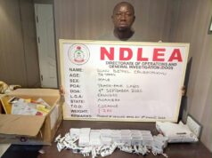 NDLEA arrests convicted cocaine trafficker posing as herbal tea merchant