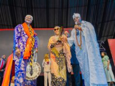 Aisha Achimugu bags Daily Times Trailblazer Award