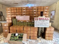 NDLEA intercepts UK Colos shipments, arrests seven in Lagos