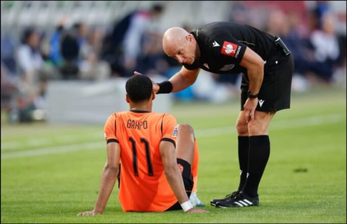 Gakpo injury Gakpo