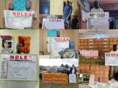 NDLEA seizes over 2.3 tonnes of illicit drugs nationwide