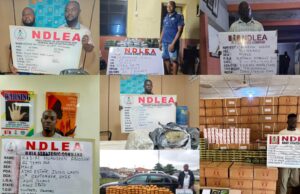 NDLEA seizes over 2.3 tonnes of illicit drugs nationwide