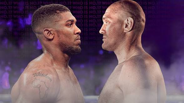 Joshua and Fury