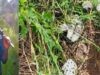 Police uncover kidnappers’ den, recover 28 human skulls in Abia Police