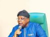 Power minister: Nigerians ask me to slow down, freezers are freezing