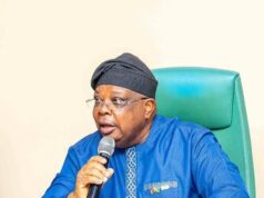 Power minister: Nigerians ask me to slow down, freezers are freezing