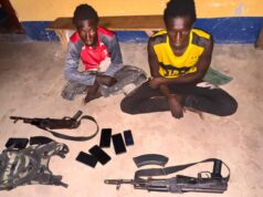 Two ISWAP fighters surrender, hand over rifles in Borno
