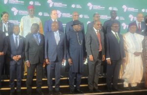Jonathan urges African leaders to turn farm pledges into action