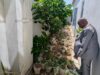 CITAD launches platform to track one million trees across Nigeria