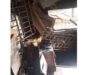 Fire destroys teacher’s home, leaves seven homeless in Kogi