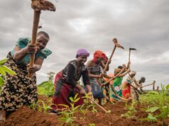 Nasarawa women farmers gain land access, stronger budget voice — Report