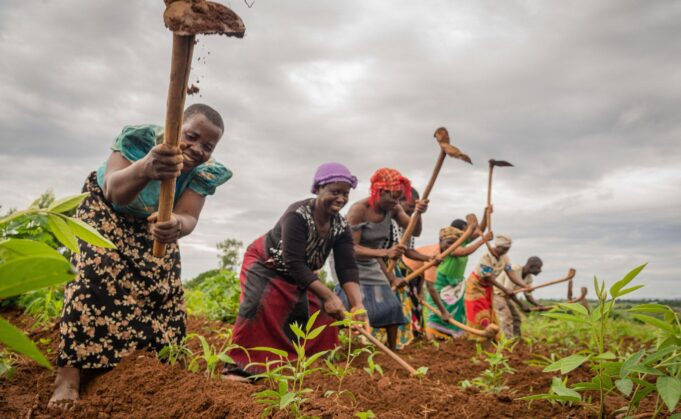 Farmers