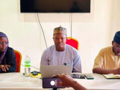CITAD plants 616 trees in Northern Nigeria, seeks more seedlings
